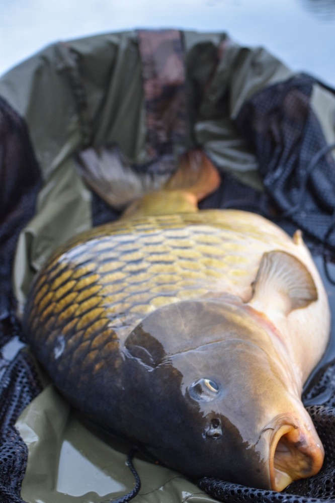 Multi Mat Unhooking Mat/Cradle & Weigh Sling Carp Care
