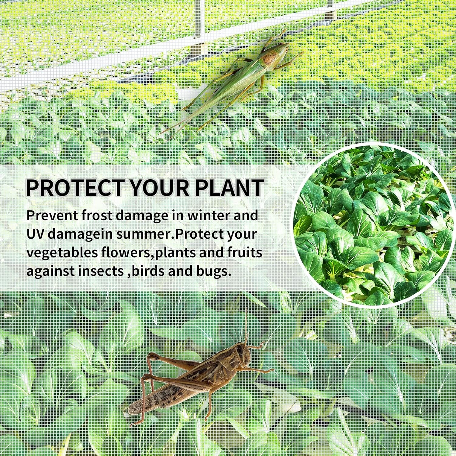 10 x20 FT Mosquito Garden Bug Insect Netting Barrier Bird Net Plant Protect Mesh