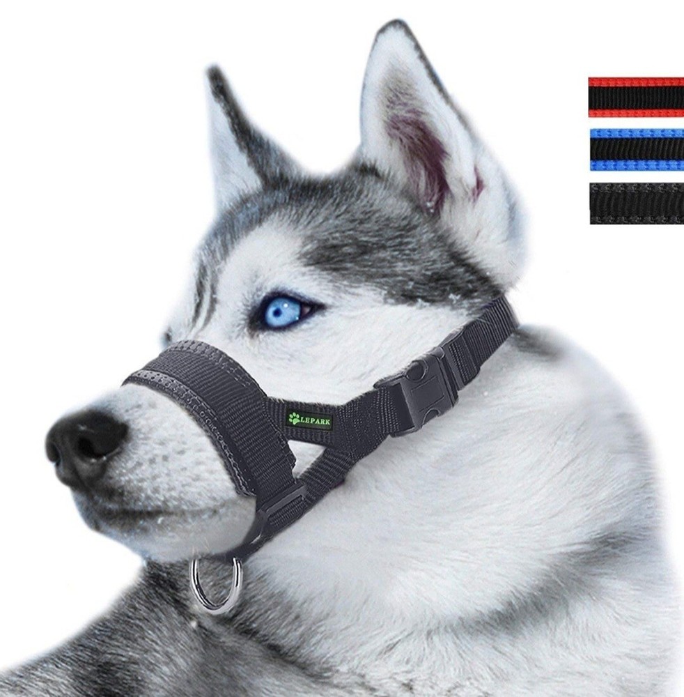 Dog Muzzle for Small Dog Prevent  Biting, Barking and Chewing Adjustable Loop