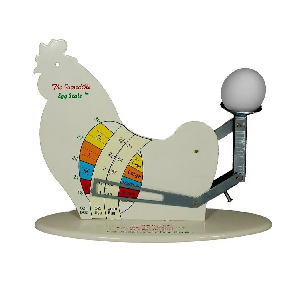 The Incredible Egg Scale – Decorative Egg -Themed Kitchen Scale