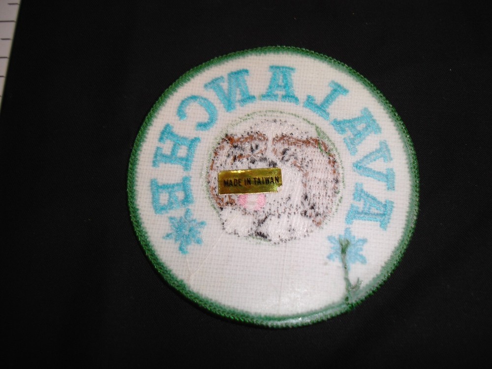 Skiing patch vintage ski patch