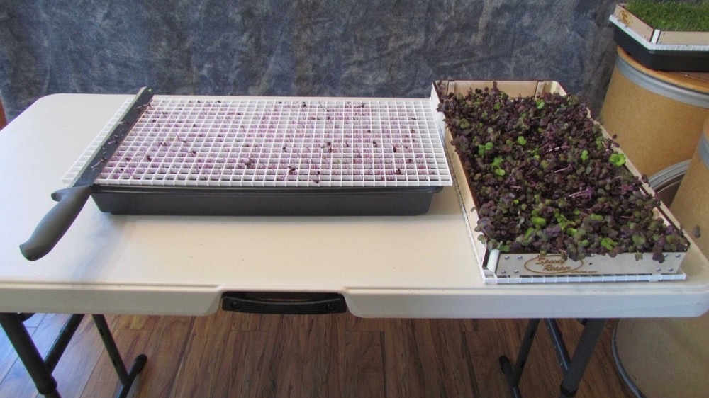 SPEEDY REAPER - 4-Pack - Microgreens Harvest System - Simple, quick & efficient