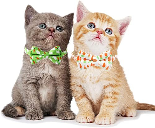 2-Pack Breakaway Cat Collars with Removable Double-Layer Bow Tie and Bell for