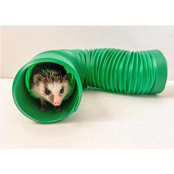 Cage Enhancement Set (Premium) - Interactive Climbing Foraging Accessory