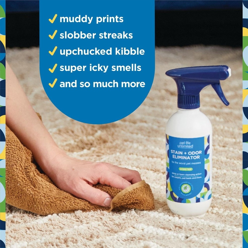 Multi-Surface Pet Stain & Odor Remover Foaming, Juniper Leaf, 16 fl oz