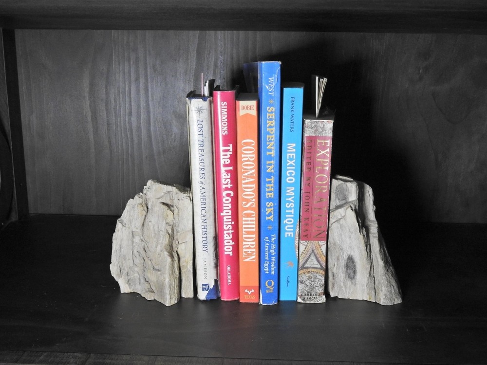Book Ends Petrified Wood