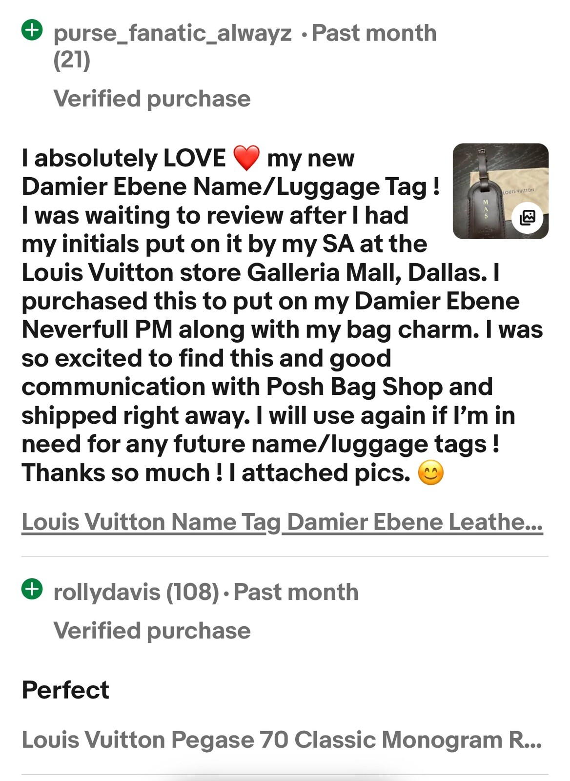 Louis Vuitton Name Tag Damier Ebene Dark Brown Goldtone Large AUTHENTIC