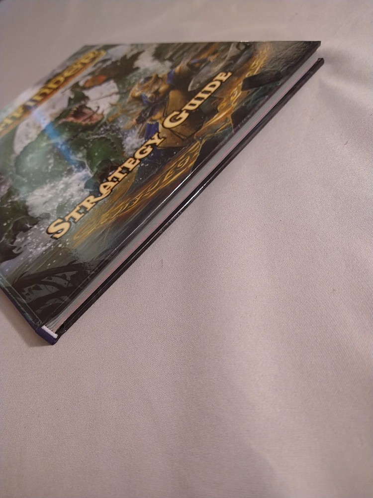 Pathfinder Strategy Guide Dungeons and Dragons Near Mint Condition