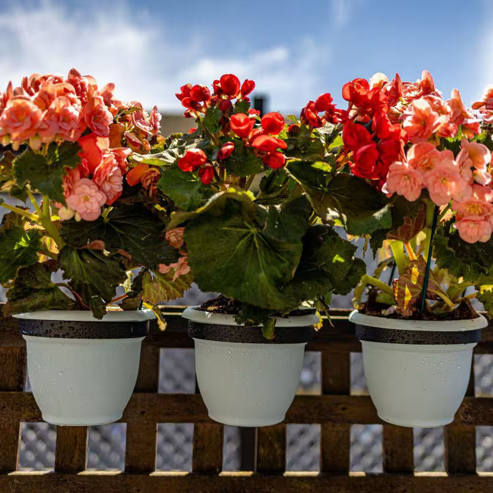 3-Ring Adjustable Railing Steel Pot Holder