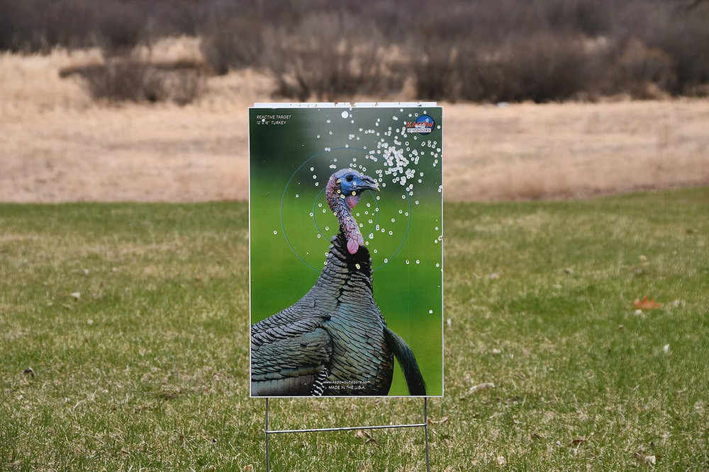 Reactive Turkey Target 10-Pack