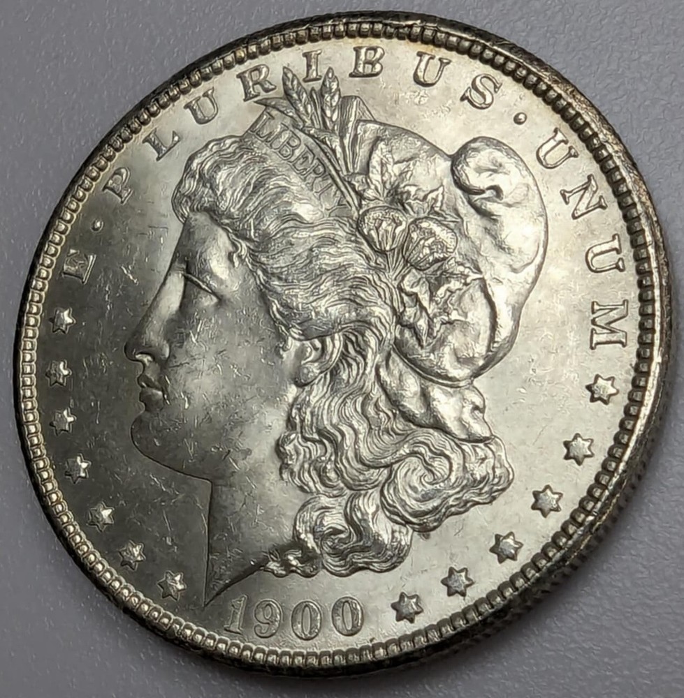 1900 Morgan Silver Dollar US Coin