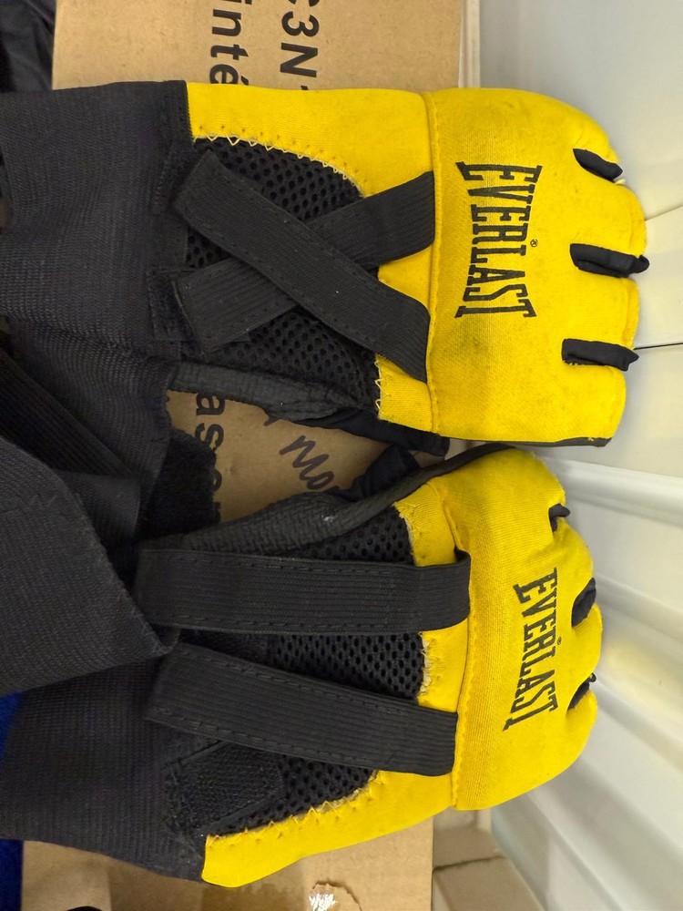 Everlast Boxing Mantis Punch Mitts