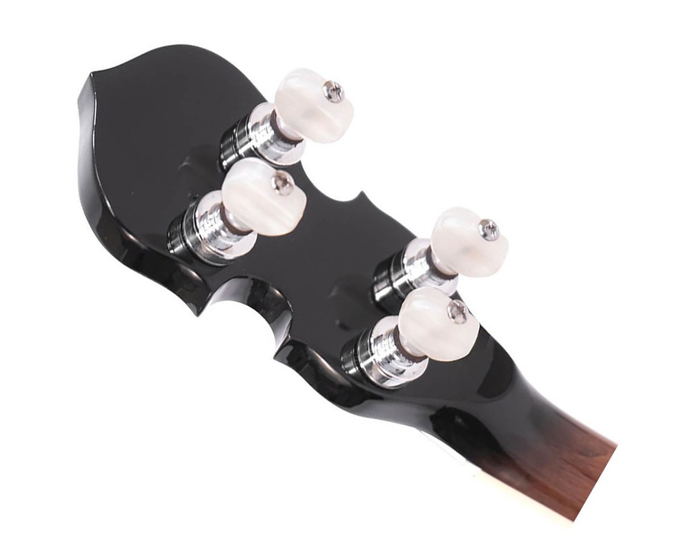 Gold Tone IT-250 Professional 4-String Irish Tenor Openback Banjo - Open Box