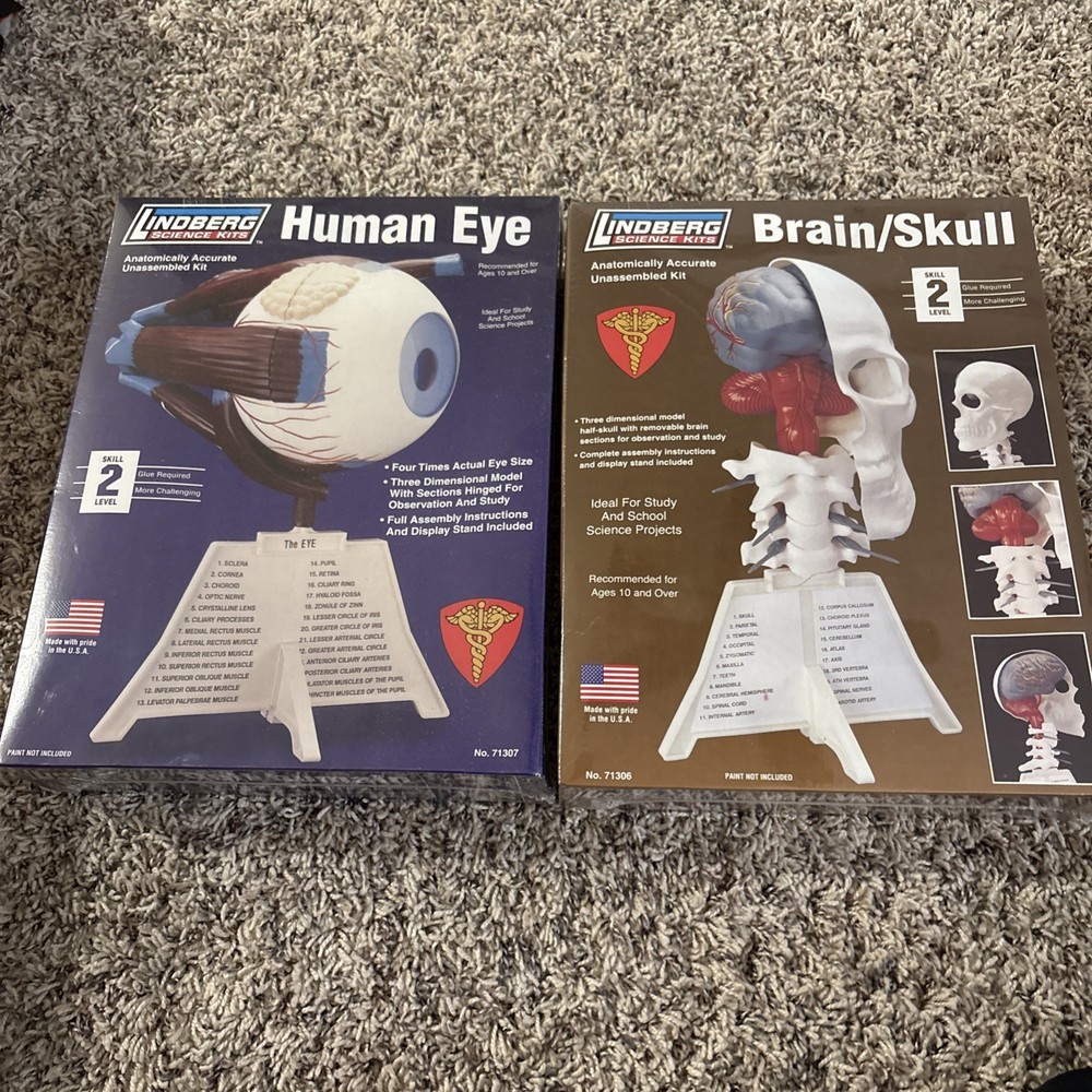 2 Lindberg Model Kits - Brain & Skull, Human Eye,