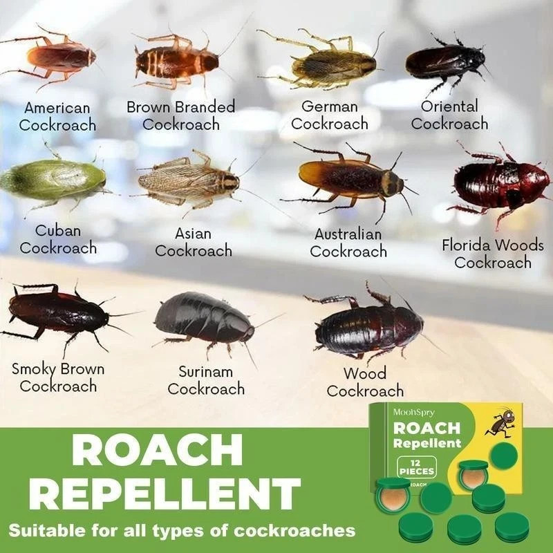Roach Repellent MoonSpry, Domestic Dormitory Kitchen Powerful Cleaning Cockroach