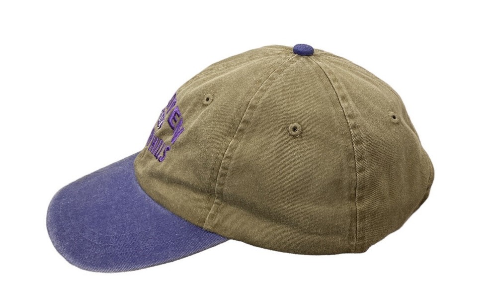 US Open Southern Hills 2001 Cap Hat Strap Back Golf Men's Adjustable Dad