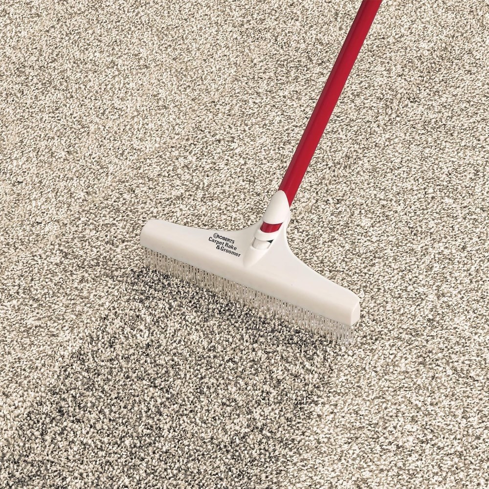 Professional Carpet Rake for Effective Cleaning