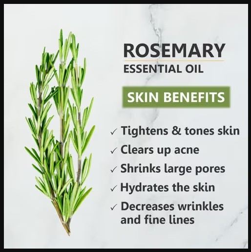 Rosemary Oil 100% Premium Therapeutic Grade Pure Virgin Natural, Hair Growth 4oz