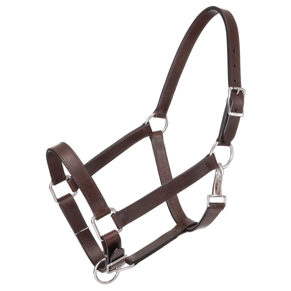 Draft Horse Halter - Brown Leather