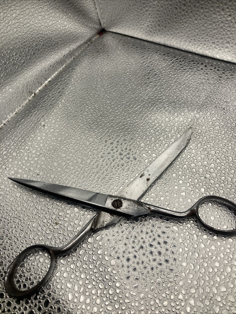 Wasa Solingen Scissors