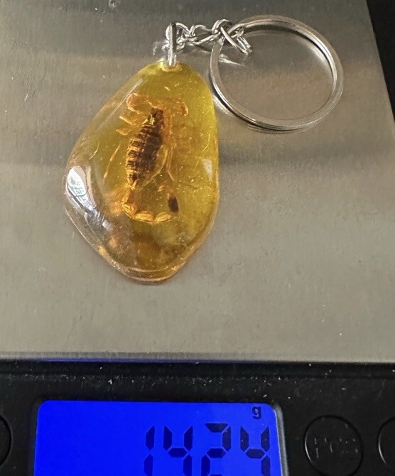 Scorpion Amber Keychain, Scorpion Keychain, Unique Keychain, Arizona Gift