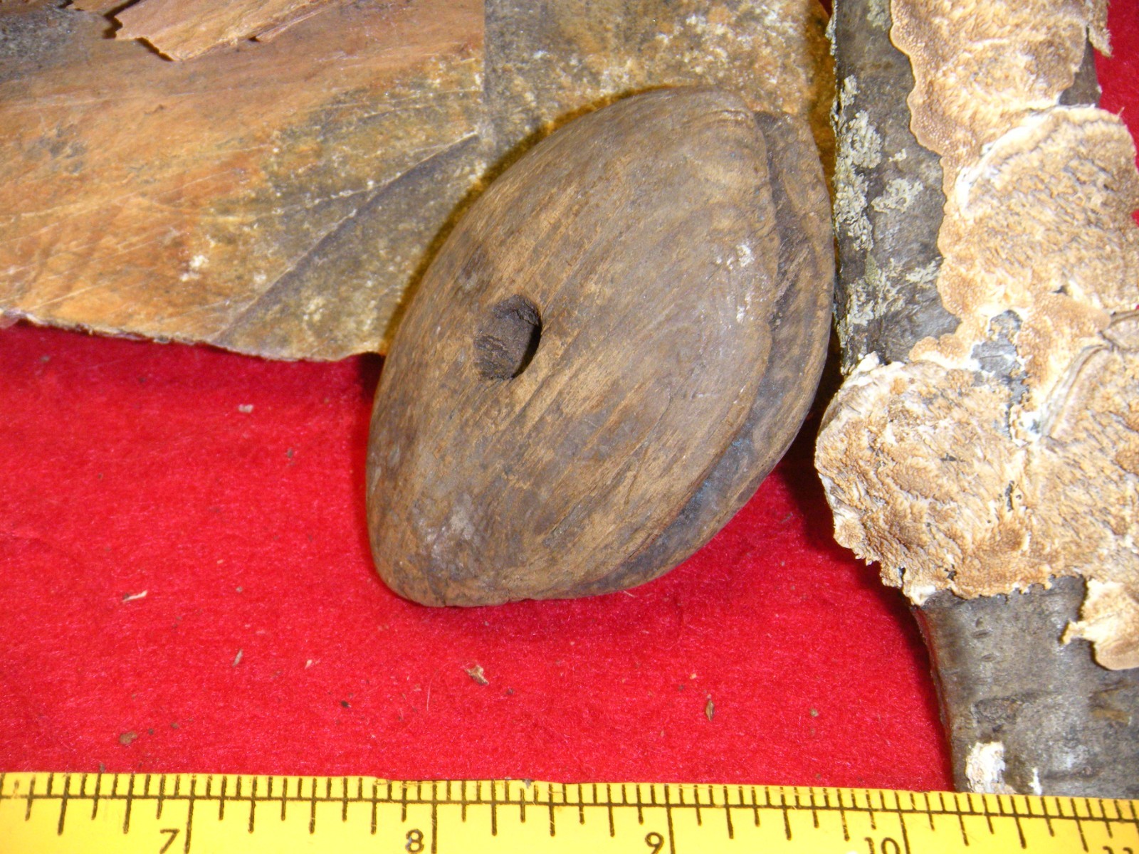 ESKIMO ARTIFACT SEAL FLOAT INFLATOR BERING SEA THULE CULTURE 1600'S SEAL FLOAT