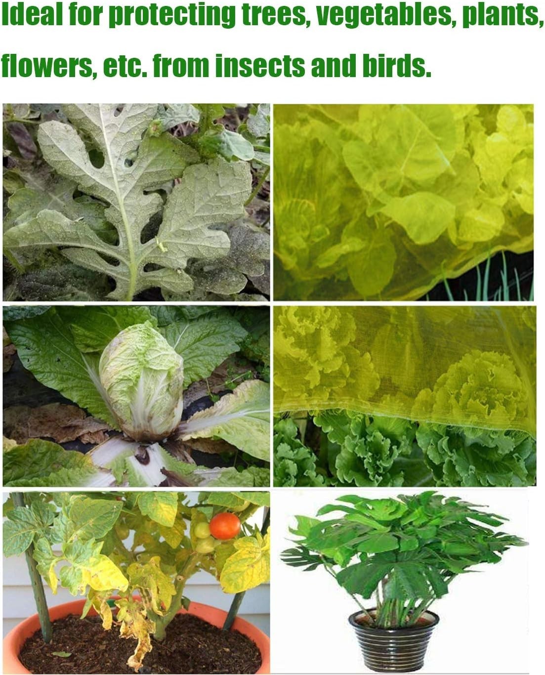 Garden Netting Mesh Netting Plant Cover Vegetable 2 Pack Free Shipping Today