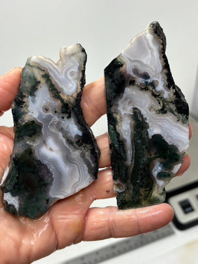 Semi-translucent Moss Agate Slabs Cabbing Lapidary Combo Ship Avail