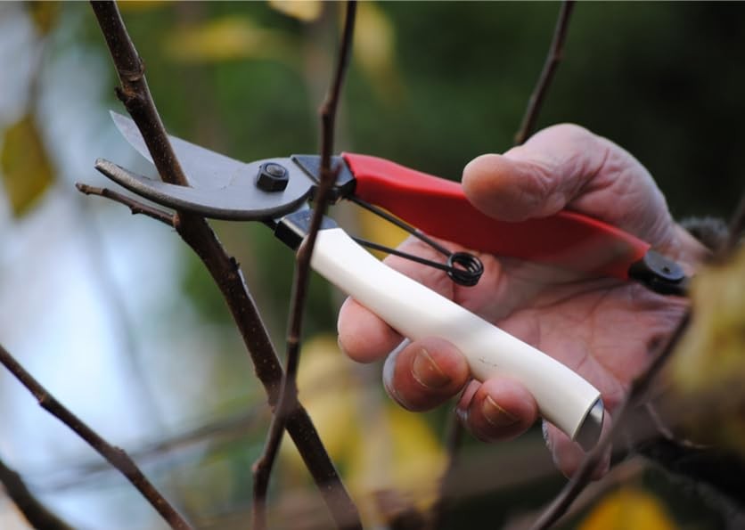 Okatsune 103 Bypass Pruners General Purpose Medium (One One Pack, シルバー|レッド