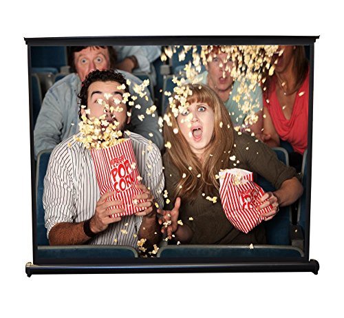 Pyle PRJTP46 40" Projector Screen, mobile Pull-Out Style Portable(32'' x 24'')