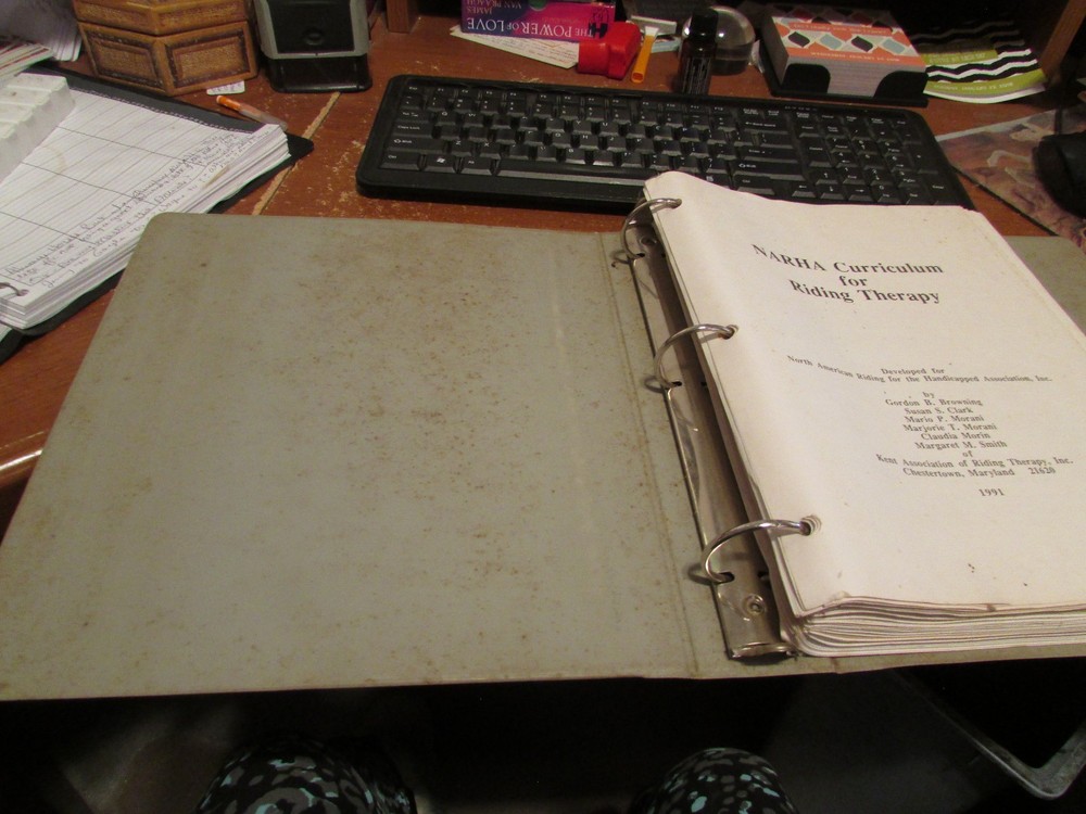 1991 NARHA Complete Riding Program for Therapeutic Horses Therapy Lessons