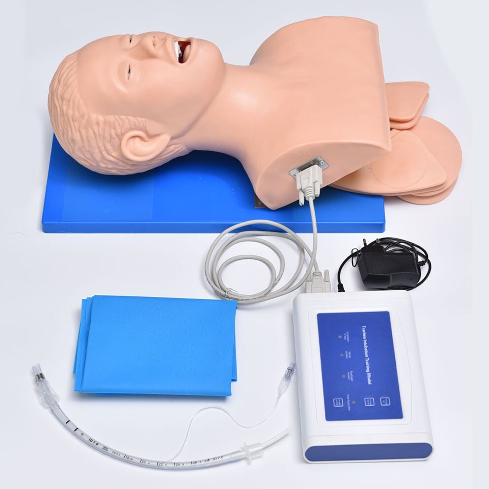 110V-220V Universal Tracheal Intubation Training Teaching Model with Indicator