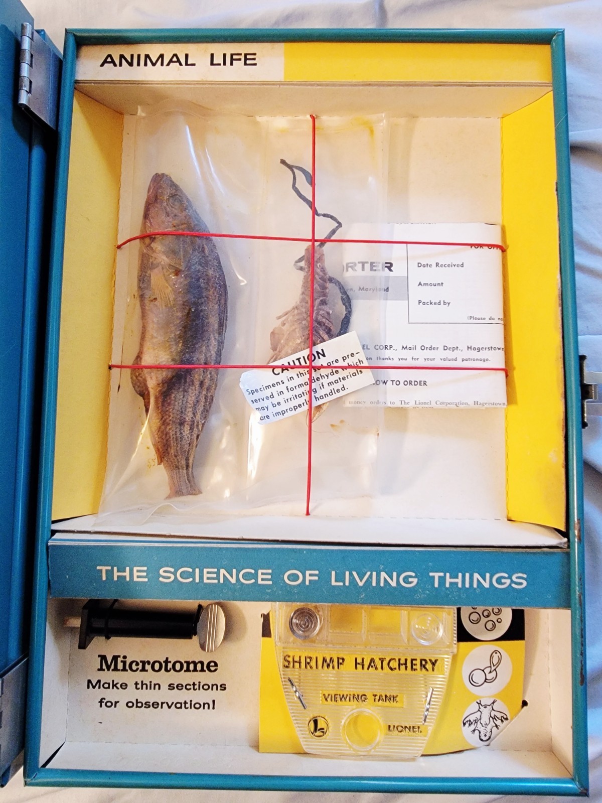 1960s LIONEL-PORTER BIOCRAFT BIOLOGY LAB. BRAND NEW, UNUSED *RARE* 3 SECTIONS!