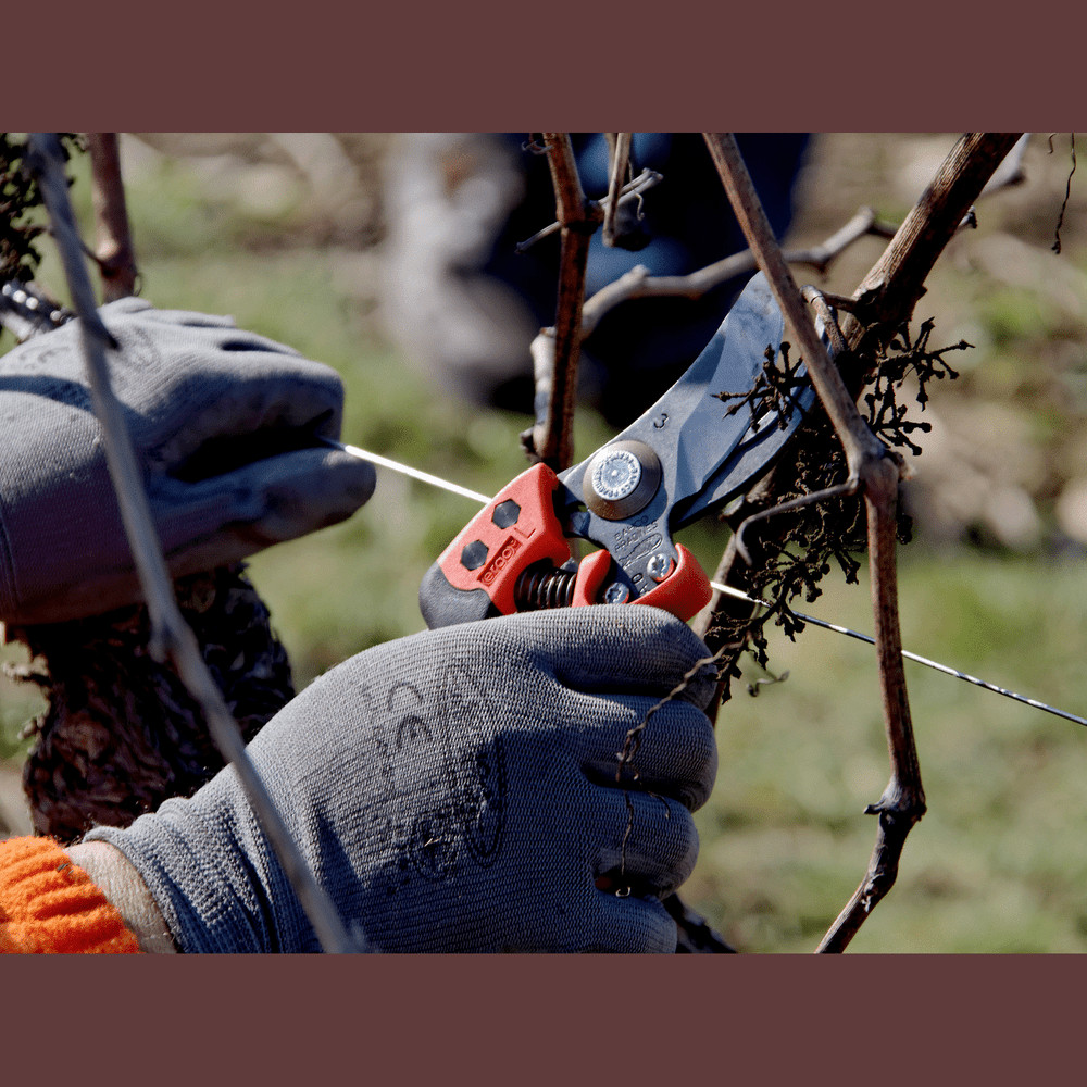 Bahco PX‑M2 Professional Bypass Pruner - Ergonomic, Durable Precision