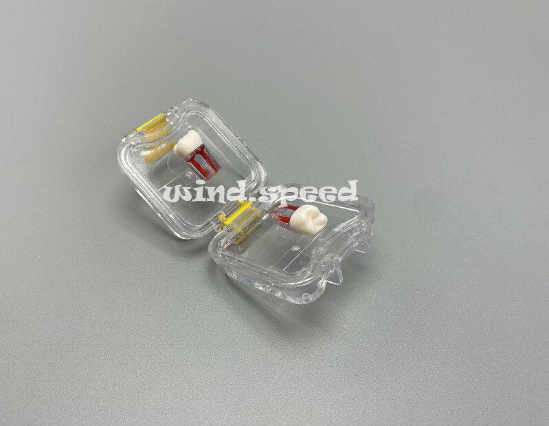 Denture False Inlay Teeth Membrane Case Box Fragile Hinged Display Jewelry Boxes