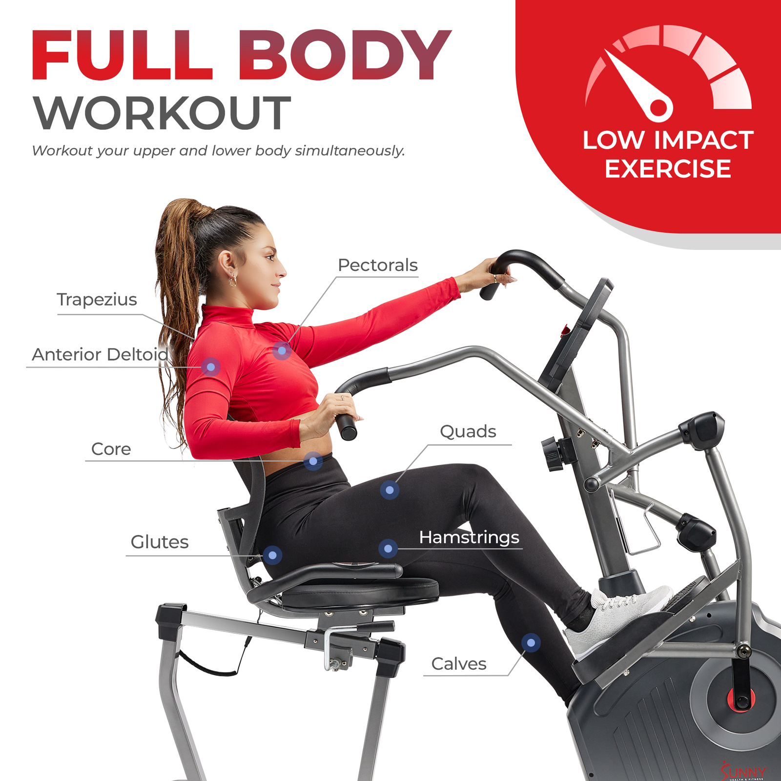 Sunny Health Fitness Elite Recumbent Cross Trainer Elliptical Machine RBE420049