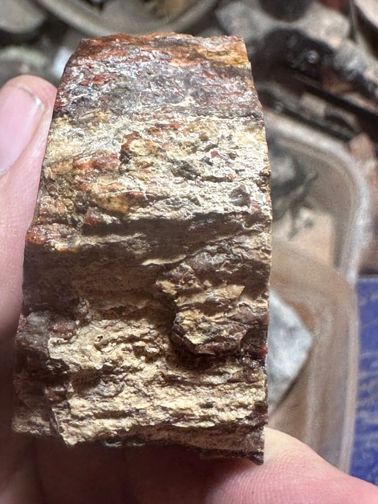 Dinosaur bone rough **hxtled chunk.