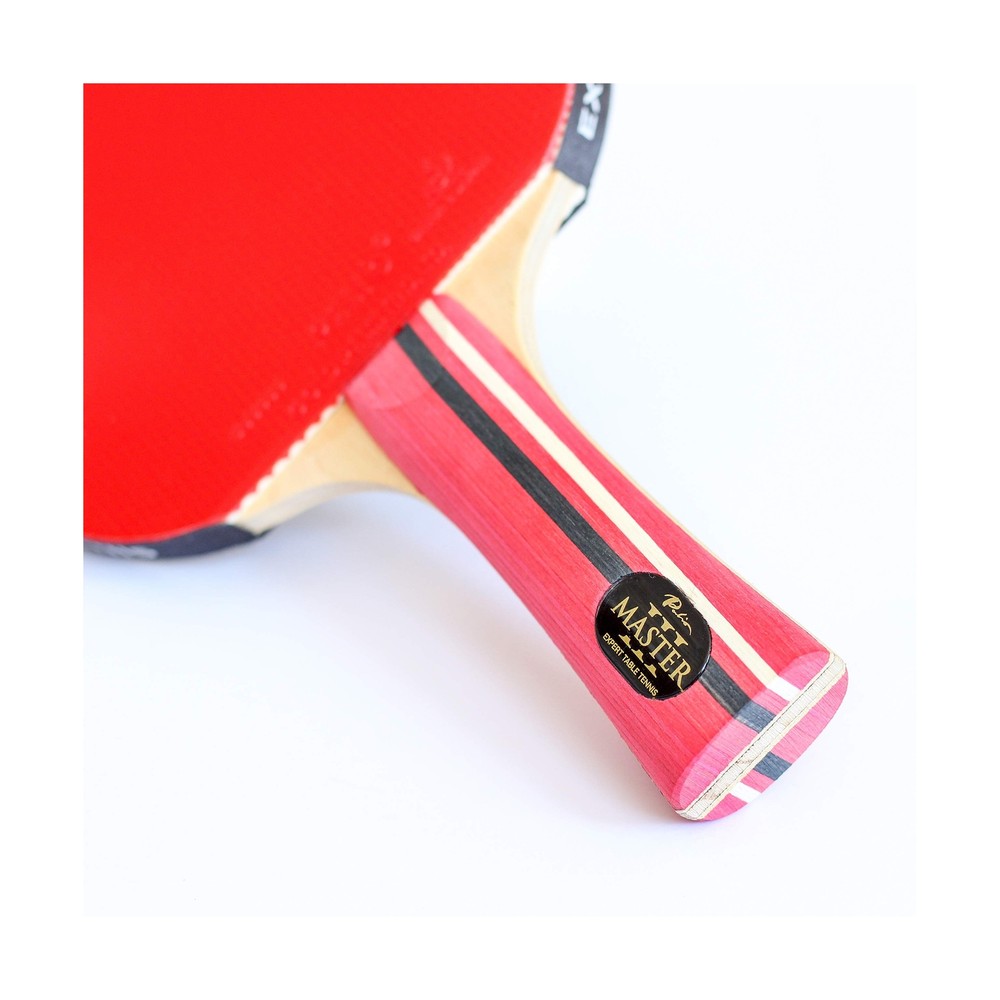 Palio Master 3.0 Table Tennis Racket & Case - ITTF Approved Intermediate Ping...