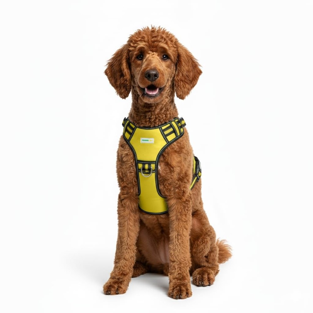 . Premium No-Pull Tactical Dog Harness with Adjustable Straps, Soft Padded De...