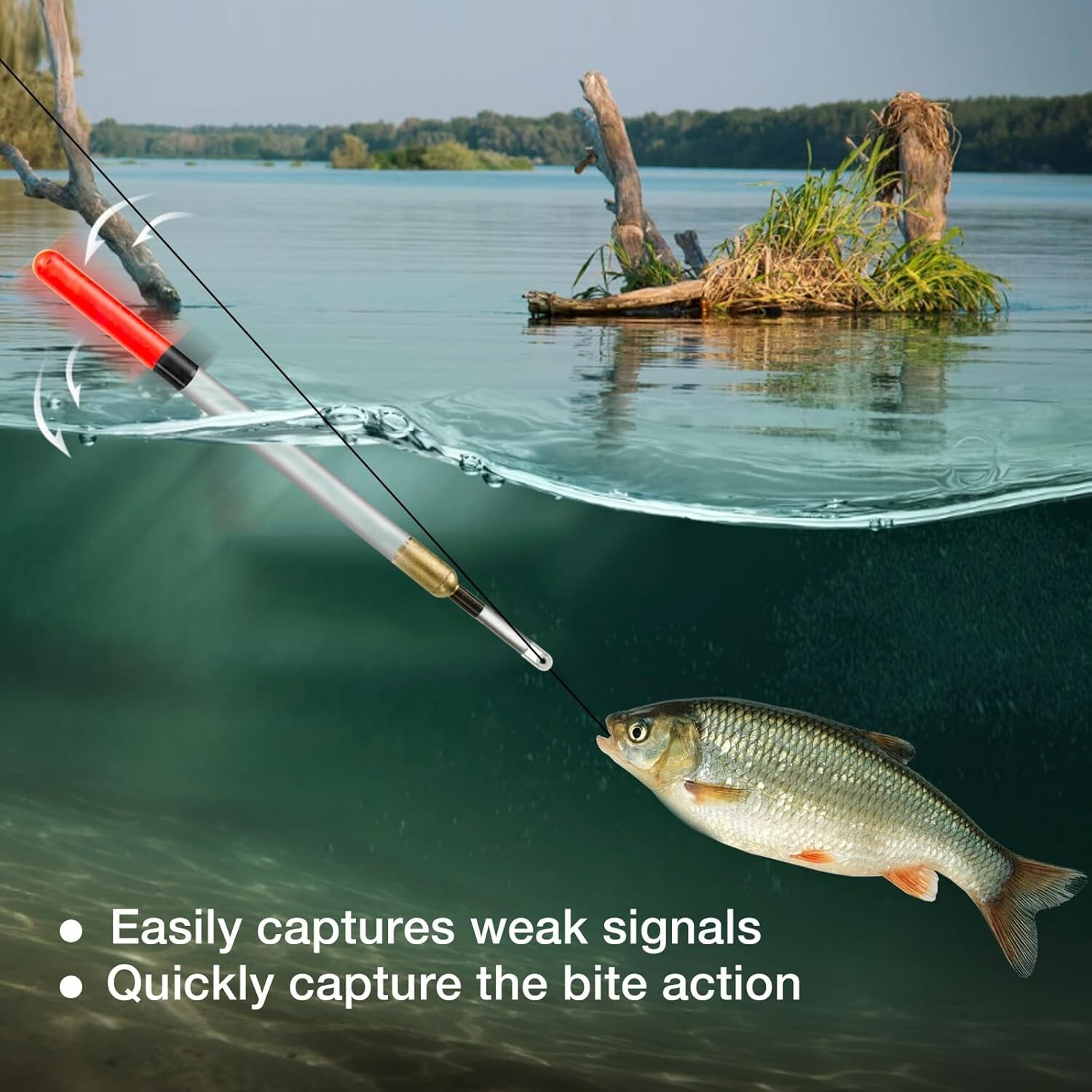 20pcs Fishing Floats Set Fishing Tackle Floats Fishing Waggler Floats Fishing