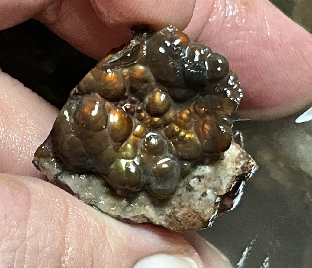 1/4 Pound Fire Agate Choice & Mid Grade Professionally Chosen Colorful Rough Lot