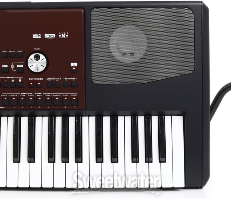 Korg Pa700 61-key Arranger Workstation