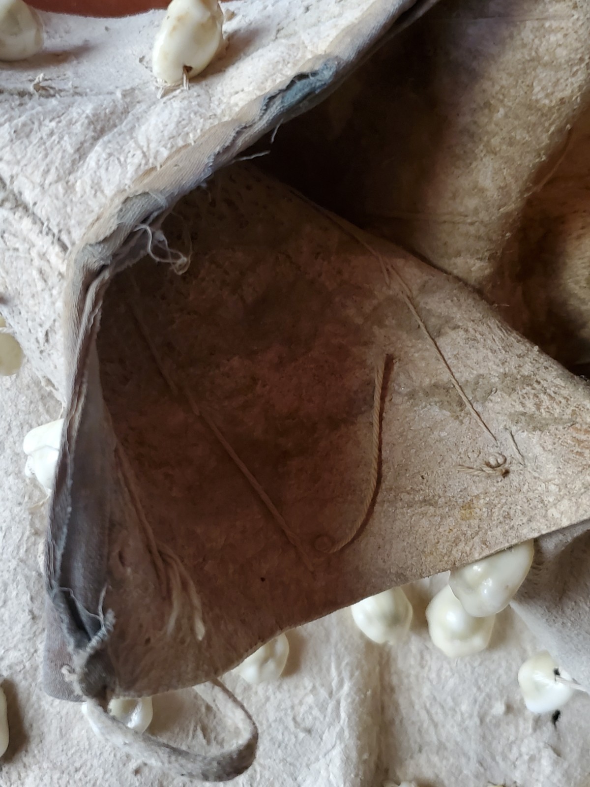 Antique OLD Native American plains Indian womans dress hide 19th c.