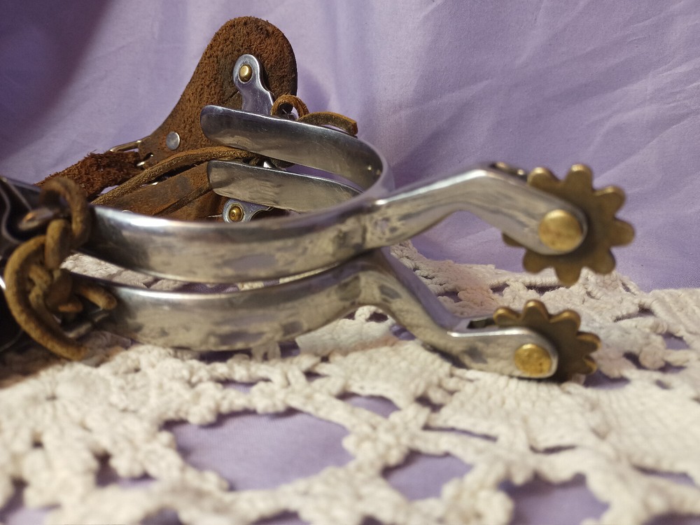_++_ Good Usable Spurs _++_