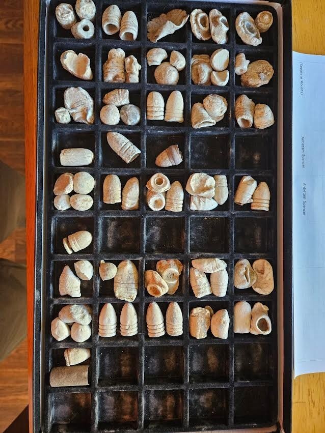 Civil War bullets collection