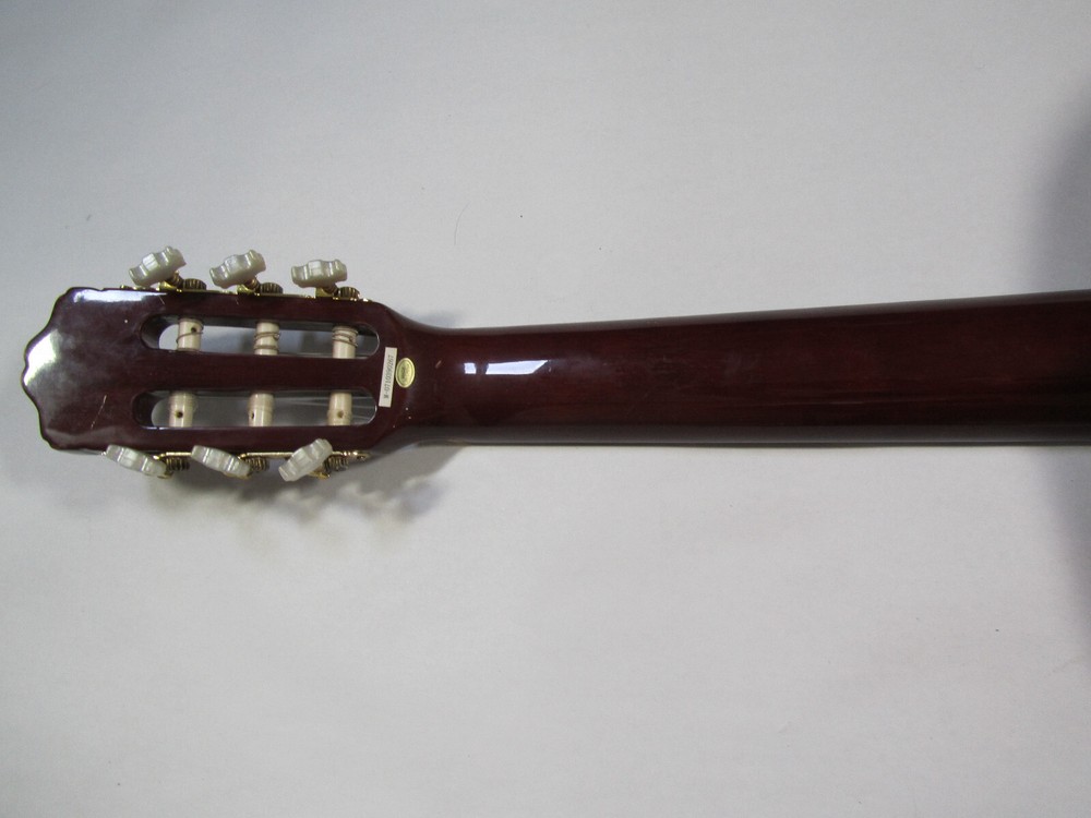 Eleca Acoustic 6 String Guitar Model C0-10