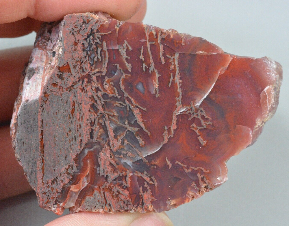 Agatized Dinosaur Bone, Utah, Polished, 57x45x54mm