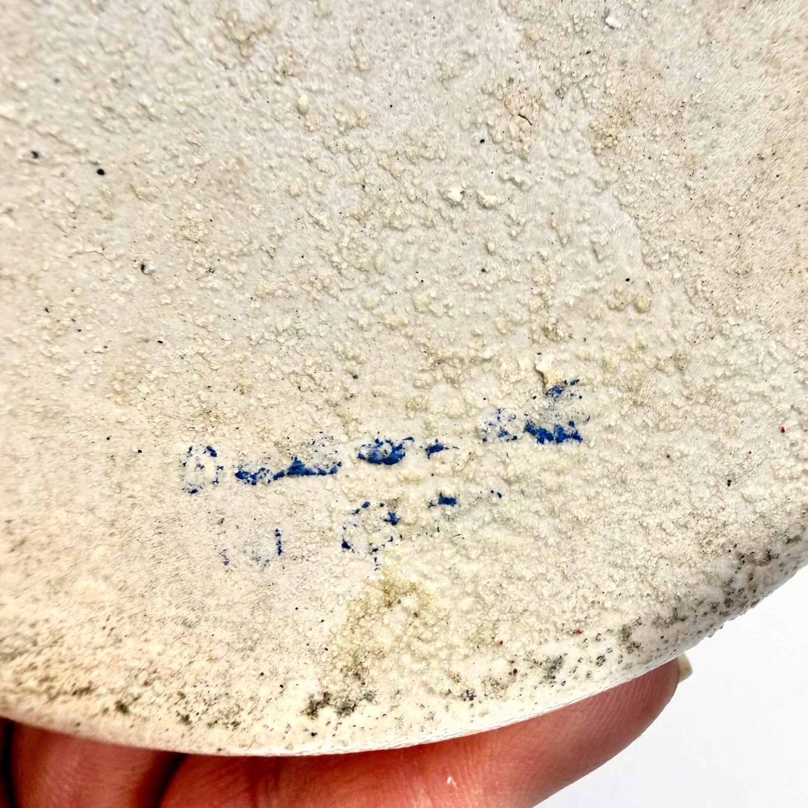 Würzburger Hofbräu Arnold's Hofbrau Beer Stein Mug Stoneware Beige Blue 0.5L