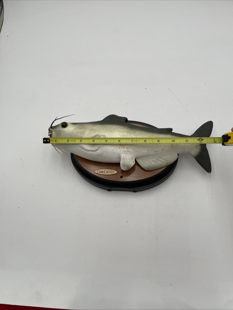 CoolCatfish Automated Wall Hanger Catfish Working