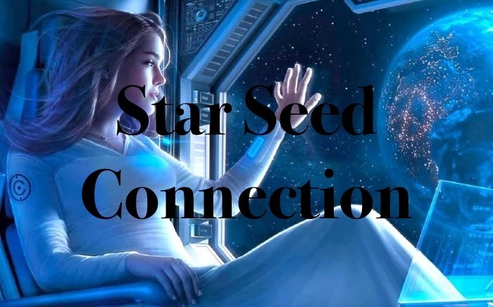Star Seed Connection